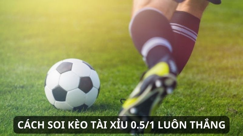 Cách soi kèo tài xỉu 0.5/1 luôn thắng
