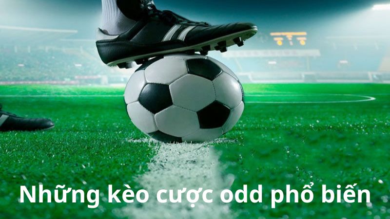 Những kèo cược odd là gì?